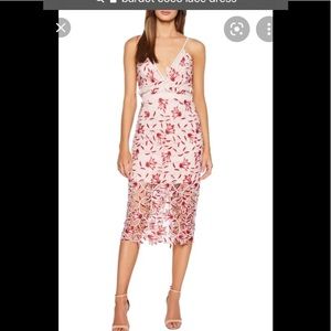 Bardot Coco Lace Dress